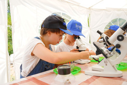 Дети работают с микроскопами