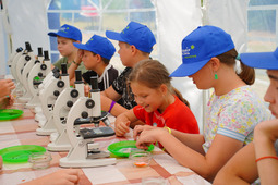 Дети изучают собранный материал под микроскопом