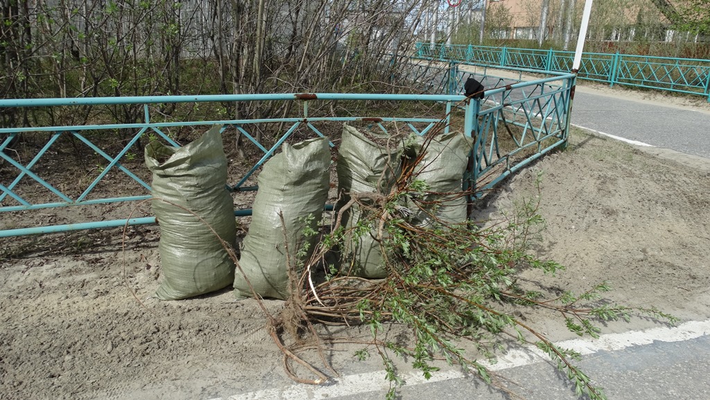 В итоге экологического субботника было собрано и утилизировано более 29 кубометров мусора