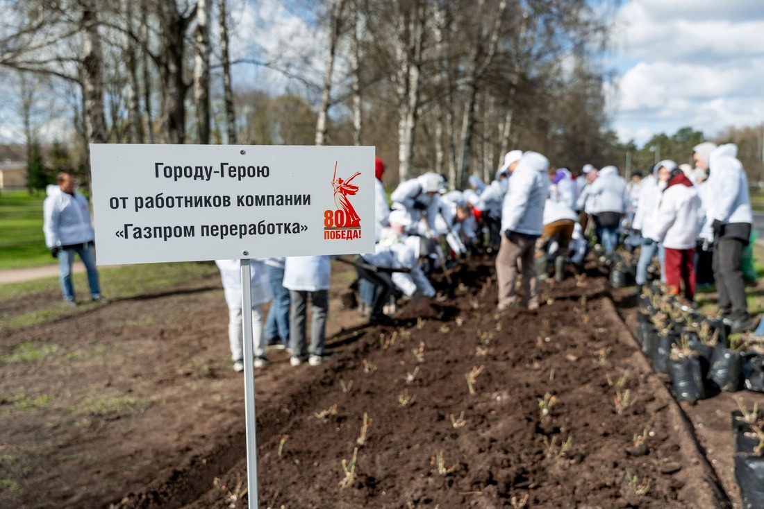 60 участников акции высадили 200 кустов сирени и 300 кустов роз