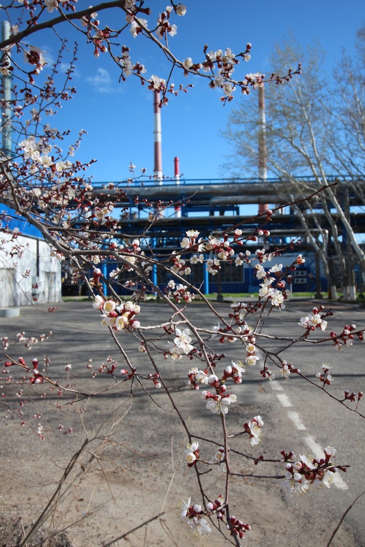 Весна на Астраханском газоперерабатывающем заводе