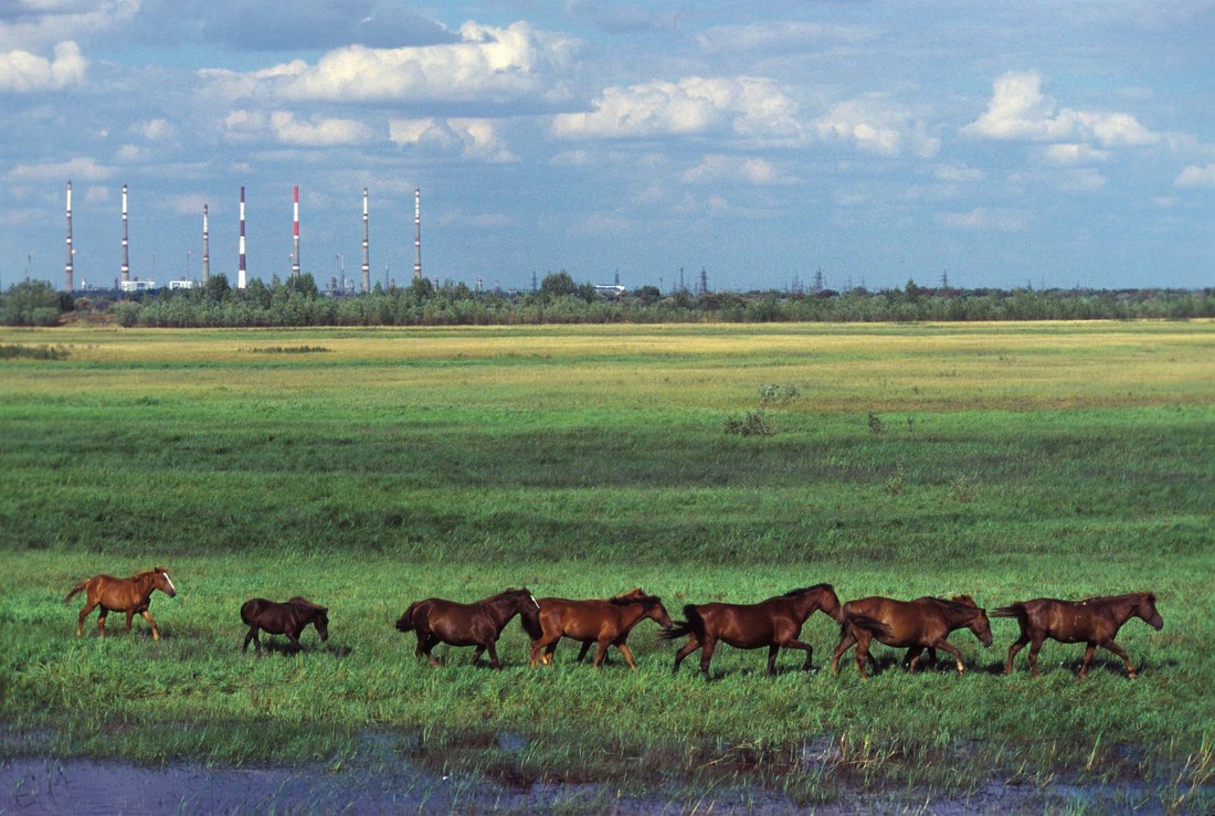 Вид на Астраханский газоперерабатывающий завод со стороны реки Ахтубы