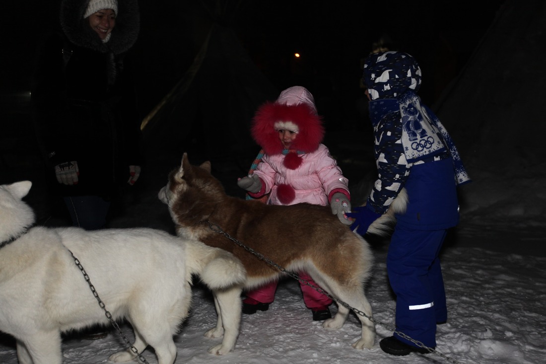 Маленькие посетители экологической станции общаются с северными собаками