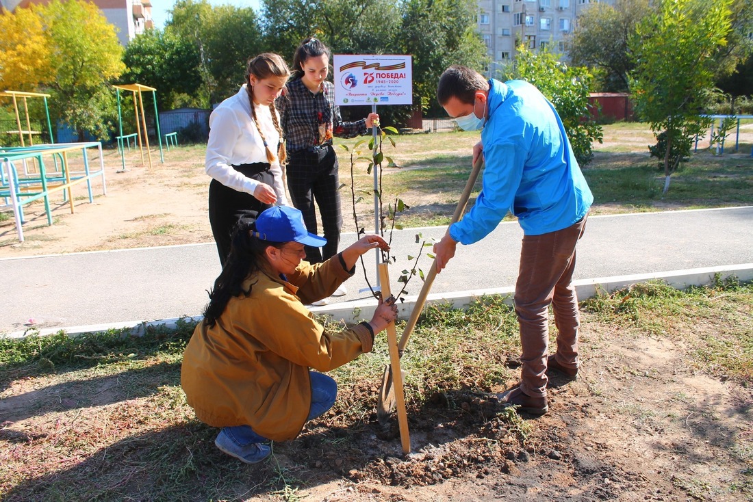 В посадке деревьев на пришкольной территории участвует председатель СМУС Михаил Середин.