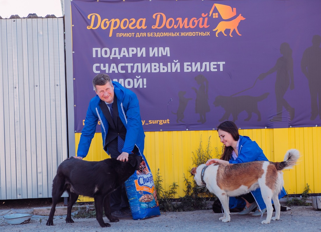 Экологи Сургутского ЗСК принесли корм для бездомных животных