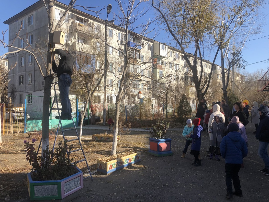Установка скворечников и кормушек для птиц