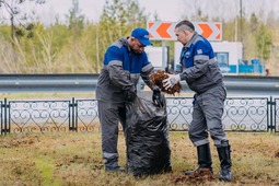 В ходе работ по очистке территории