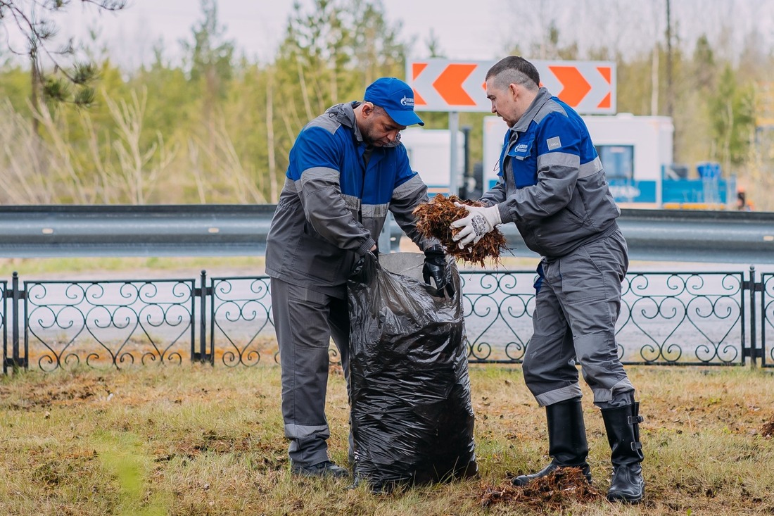 В ходе работ по очистке территории