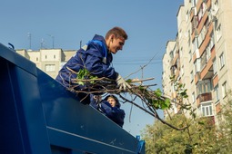 Собрано и вывезено более шестнадцати кубометров мусора