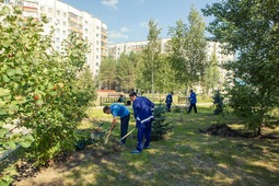 В массовой уборке было задействованы работники пяти служб