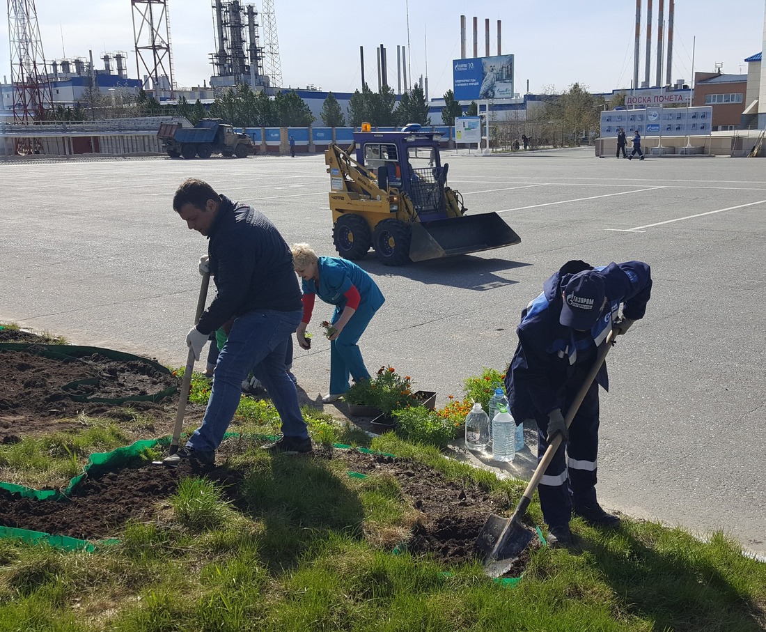 Подготовка клумб к высадке цветов