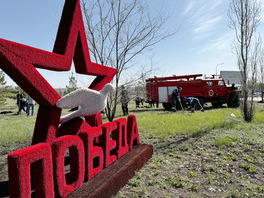 На въезде в Павловку появилась березовая аллея