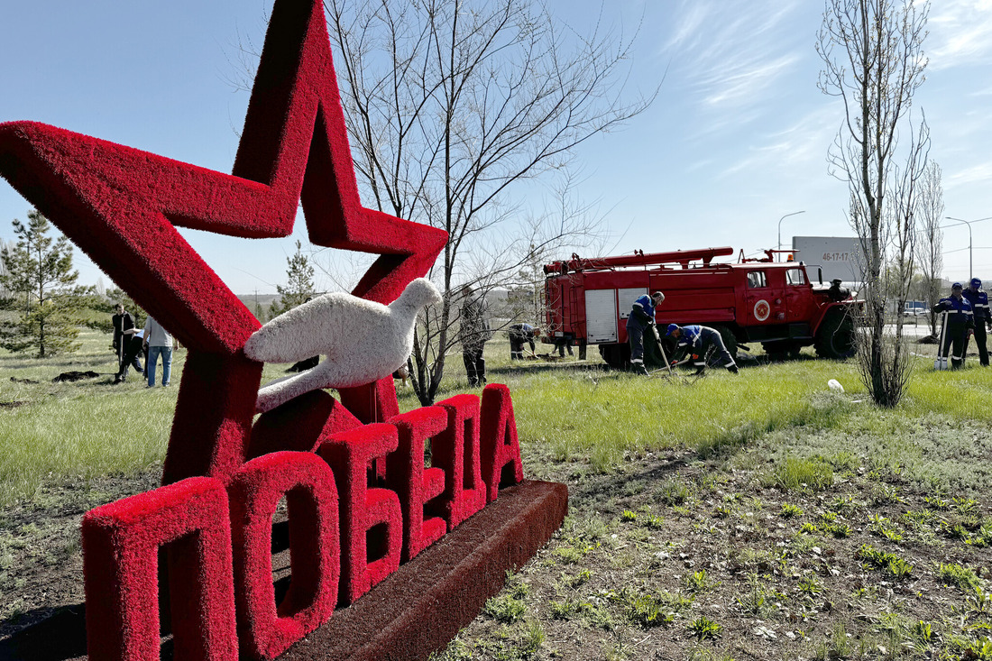 На въезде в Павловку появилась березовая аллея